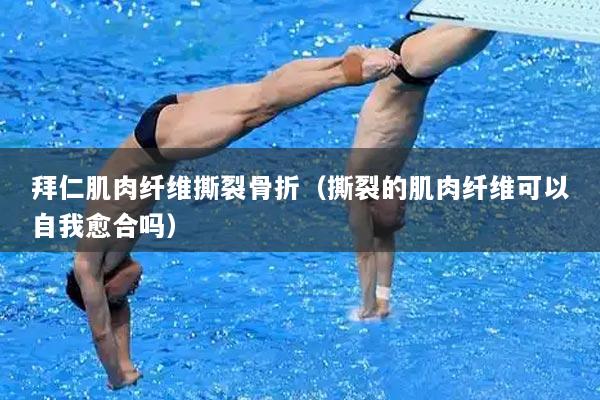 拜仁肌肉纤维撕裂骨折（撕裂的肌肉纤维可以自我愈合吗）