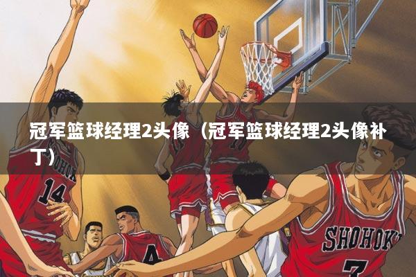 冠军篮球经理2头像（冠军篮球经理2头像补丁）