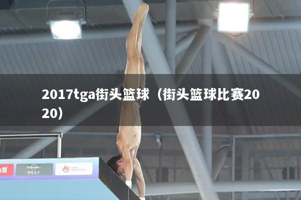 2017tga街头篮球（街头篮球比赛2020）